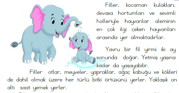 1. Sınıf Türkçe Okuyalım-Anlayalım-Cevaplayalım (Filler) Metni