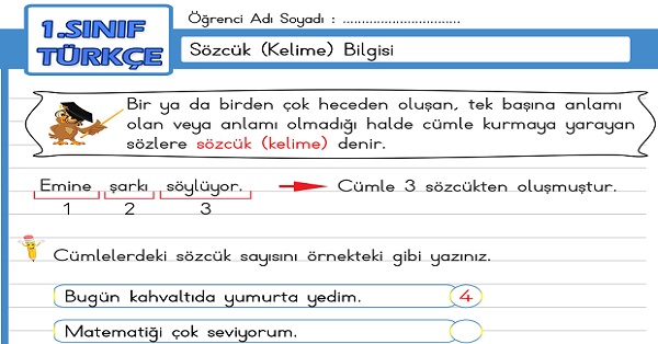 1. Sınıf Türkçe Sözcük Bilgisi Etkinliği