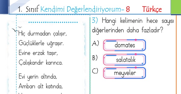 1. Sınıf Genel Değerlendirme 8