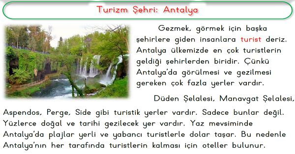 1. Sınıf Hayat Bilgisi Yaşadığımız Yerde Neler Var Etkinliği