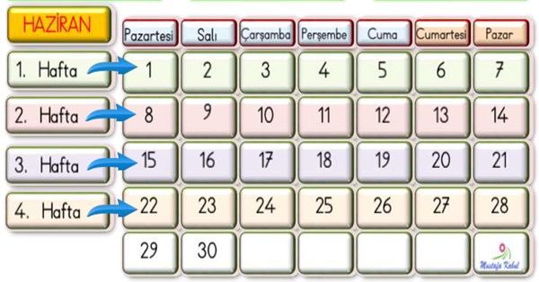 2. Sınıf Matematik Zamanı Ölçme (Gün-Ay) Etkinliği-8