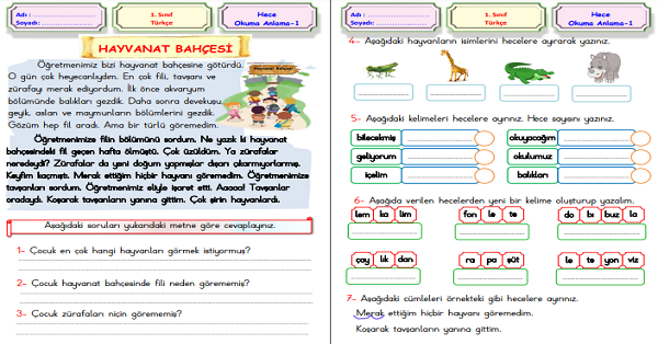 1. Sınıf Türkçe Hece Okuma Anlama (Hayvanat Bahçesi) Metni