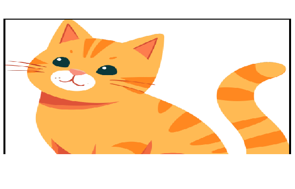 2. Sınıf 8.Ünite Pets Flashcards