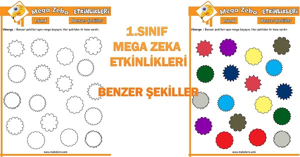 1. Sınıf Mega Zeka Etkinliği - Benzer Şekiller