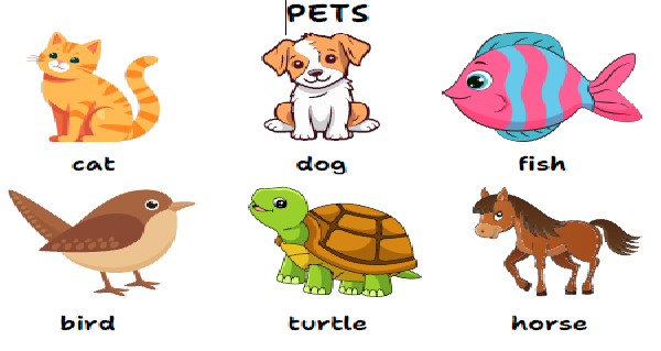 2. Sınıf 8.Ünite Pets Resimli Kelime Kağıdı