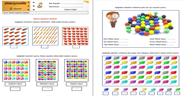2. Sınıf Matematik Nesne Sayılarını Bulalım Etkinliği 1