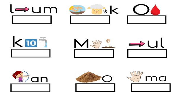 1. Sınıf İlk Okuma Yazma (U-u Sesi) OMU Resfebe Çalışması ve Cevapları