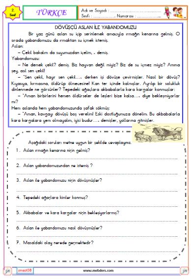 2. Sınıf Türkçe Okuma ve Anlama Metni Etkinliği (Dövüşçü Aslan ile Yaban Domuzu)