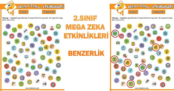 2. Sınıf Mega Zeka Etkinliği - Benzerlik