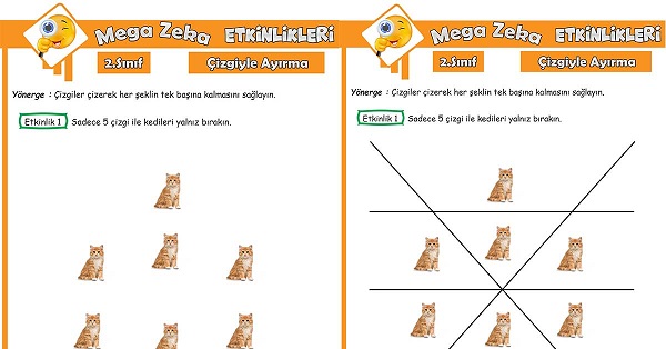 2. Sınıf Mega Zeka Etkinliği - Çizgiyle Ayırma