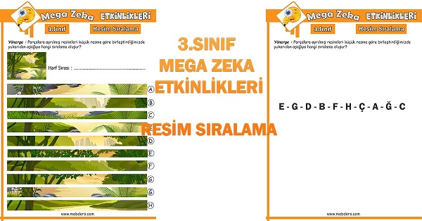 3. Sınıf Mega Zeka Etkinliği - Resim Sıralama