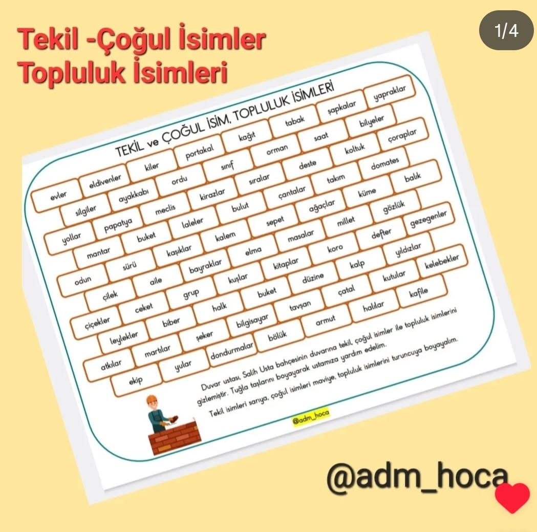 2. Sınıf Türkçe Tekil - Çoğul İsimler ve Topluluk İsimleri Defter Etkinliği
