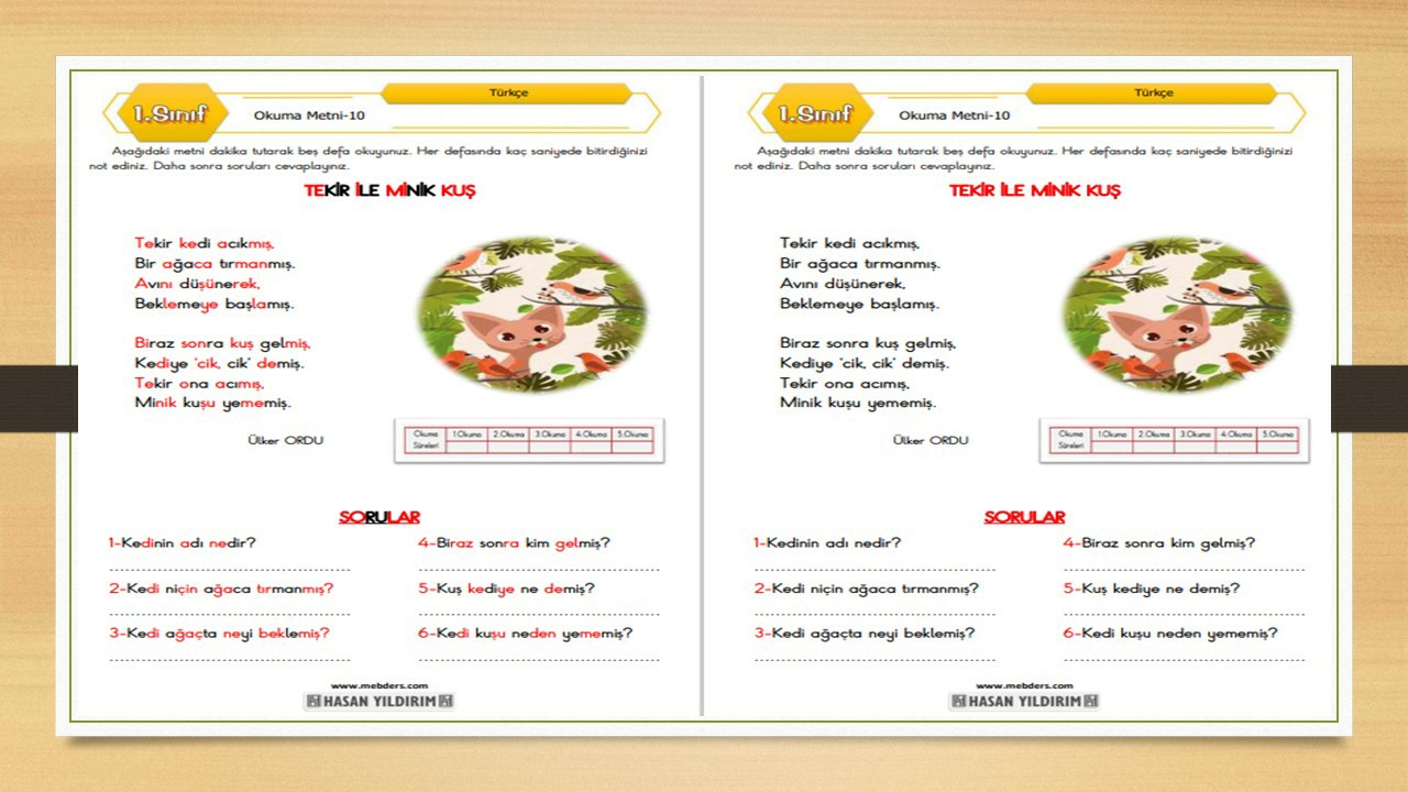 1. Sınıf Türkçe Okuma Metni-10 (Tekir ile Minik Kuş)