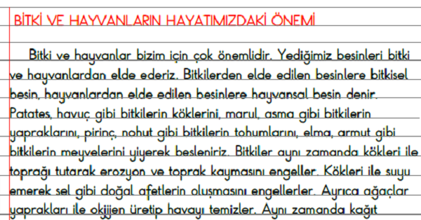 3. Sınıf - Hayat Bilgisi Bitki ve Hayvanların Hayatımızdaki Önemi Defter Özeti