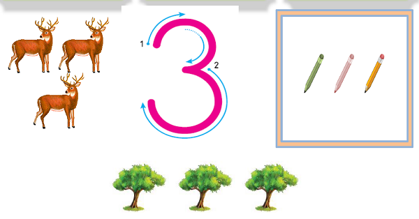 1. Sınıf Matematik Üç Rakamı (3 Rakamı) Etkinliği