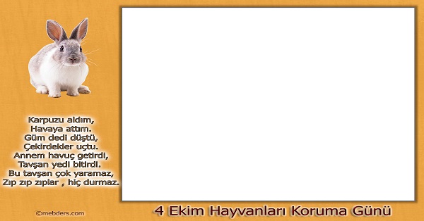 4 Ekim Hayvanları Koruma Günü Tavşan Tekerlemeli Resim Yapma Şablonu