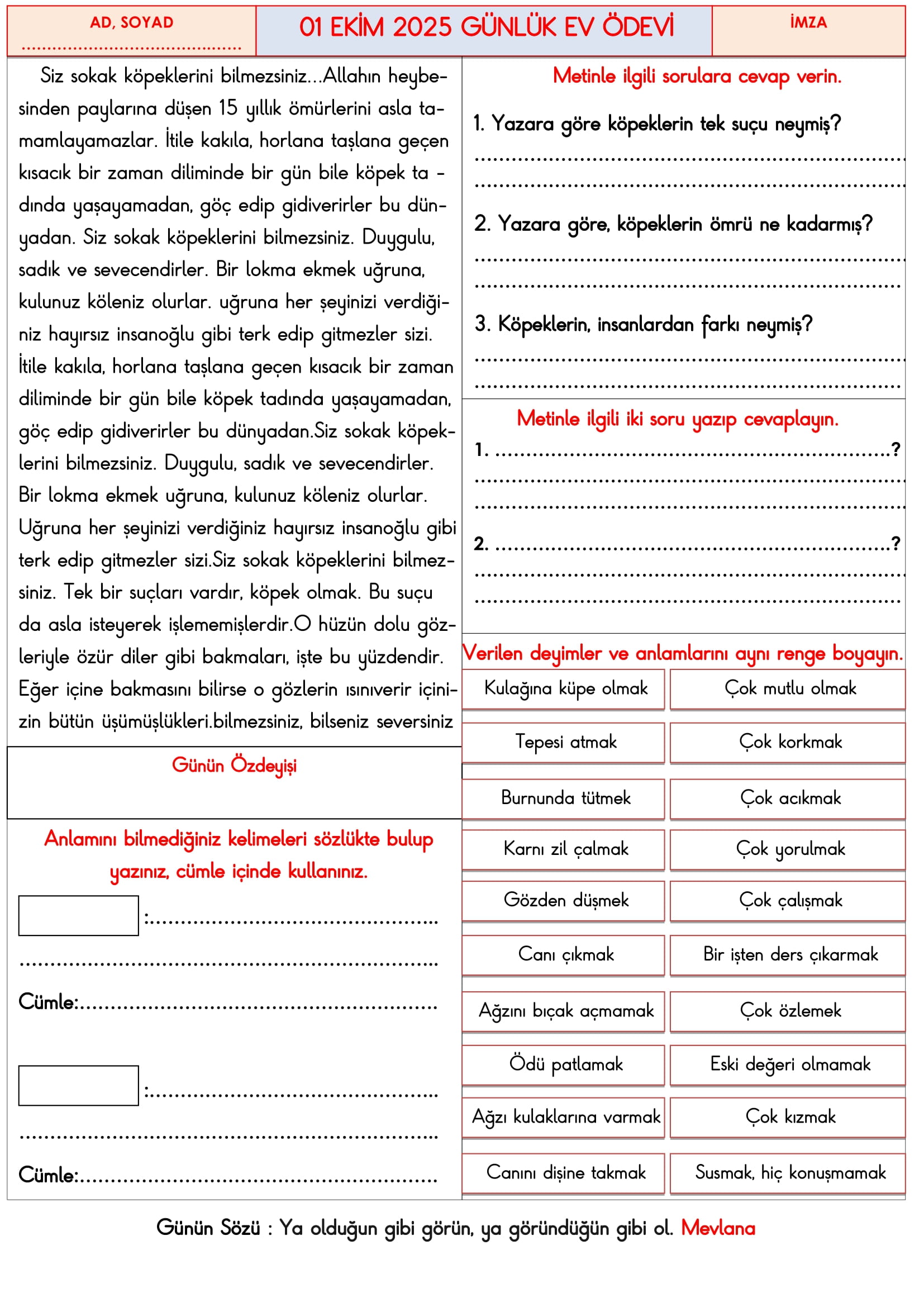 3. Sınıf - 01 Ekim 2025 Günlük Ev Ödevleri