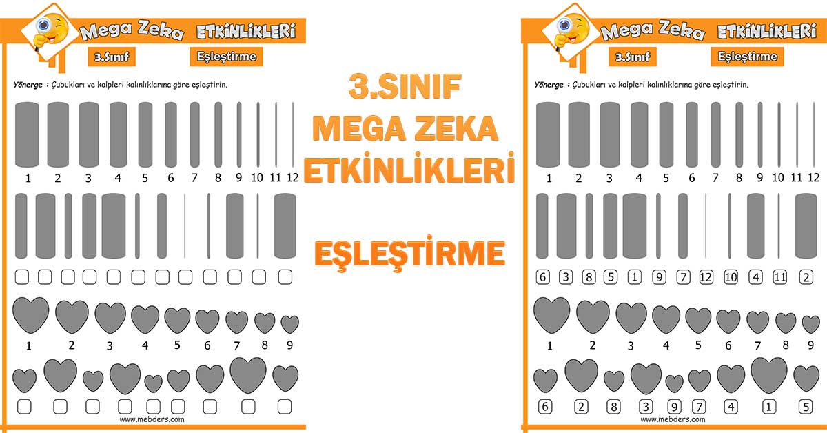 3. Sınıf Mega Zeka Etkinliği - Eşleştirme