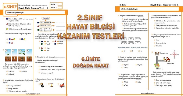 2. Sınıf Hayat Bilgisi Kazanım Testi - 6.Ünite - Doğada Hayat