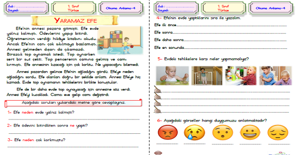 1. Sınıf Türkçe Okuma Anlama (Yaramaz Efe) Metni