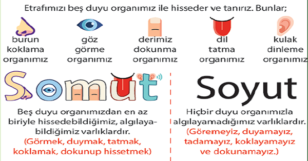 4. Sınıf Türkçe Oluşlarına Göre Adlar (Somut-Soyut)