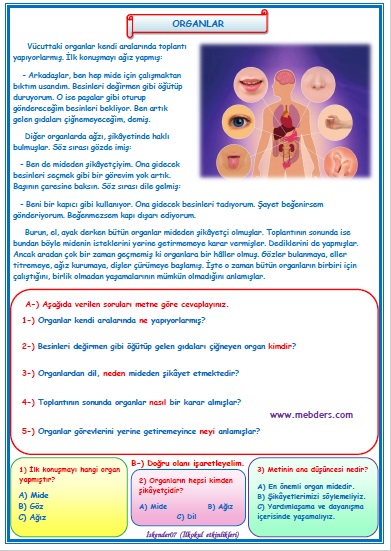 2. Sınıf Türkçe Organlar Okuma Anlama Metin Çalışması 30