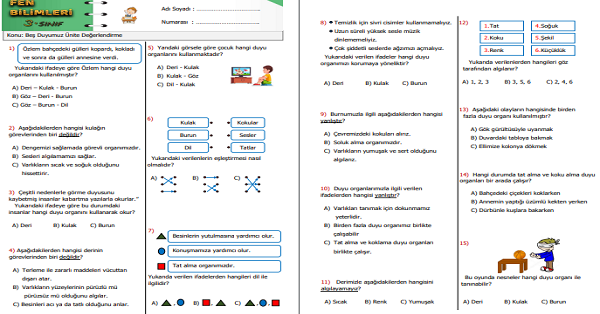 3. Sınıf Fen Bilimleri Beş Duyumuz Ünite Değerlendirme Etkinliği 2