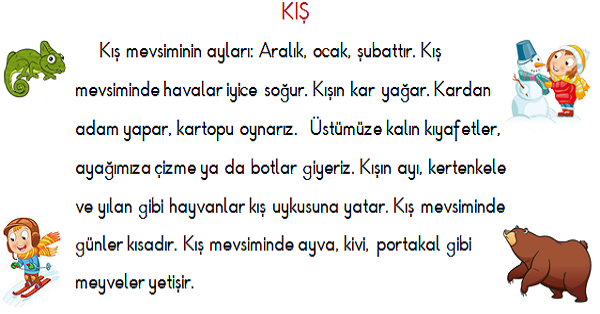 1. Sınıf Türkçe Sonbahar ve Kış Mevsimi Okuma ve Anlama Etkinliği