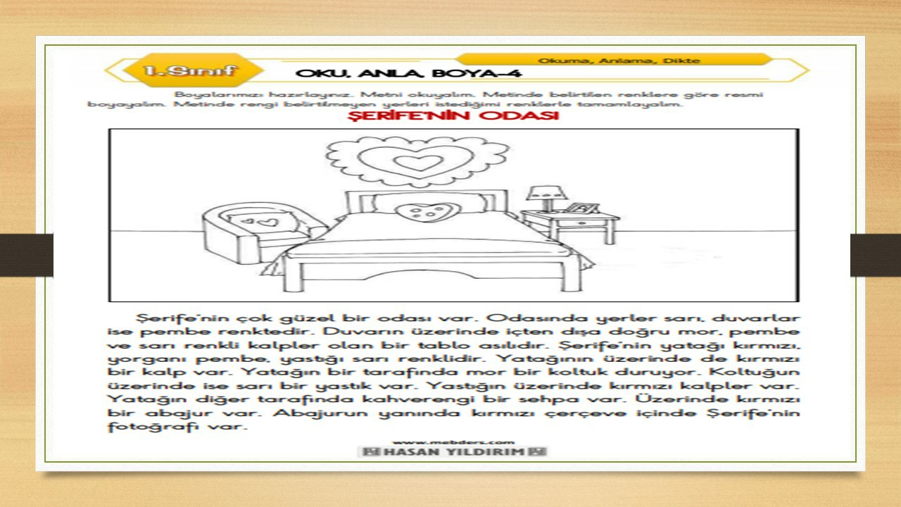 1. Sınıf Türkçe Oku, Anla, Boya-4