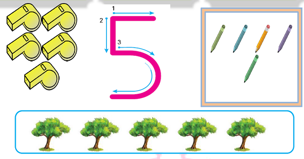 1. Sınıf Matematik Beş Rakamı (5 Rakamı) Etkinliği