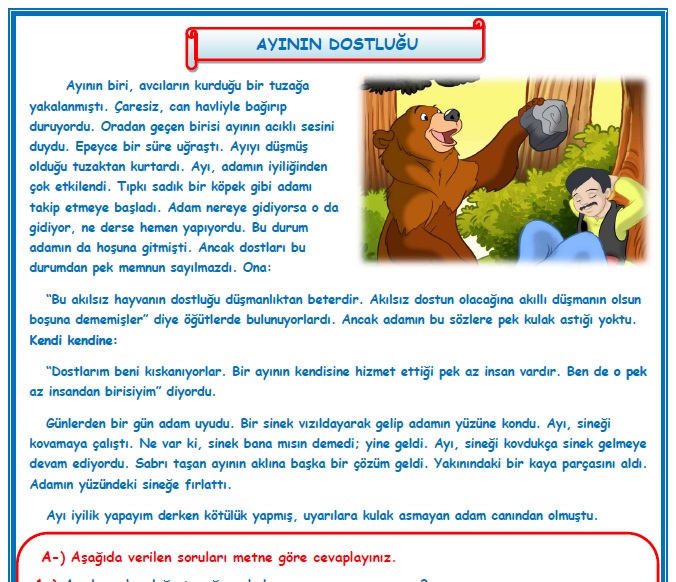 2. Sınıf Türkçe Ayının Dostluğu Okuma Anlama Metin Çalışması