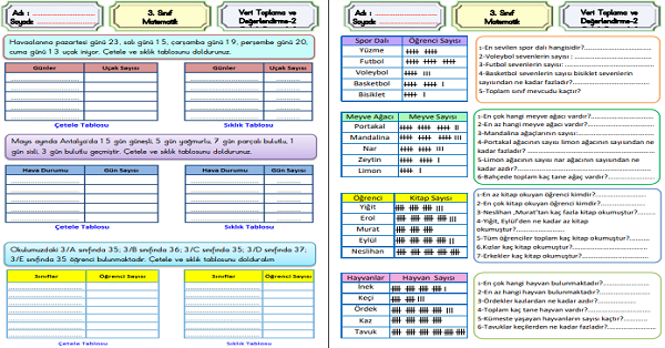 3. Sınıf Matematik Şekil ve Nesne Grafiği Çetele ve Sıklık Tablosu-2