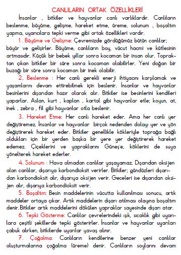 3. Sınıf Fen Bilimleri Canlıların Ortak Özellikleri Konu Özeti