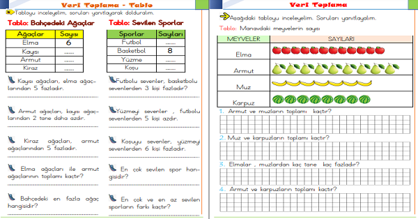 1.Snıf Matematik Veri Toplama ve Tablo Etkinliği-4