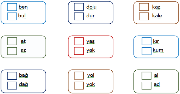 2. Sınıf Türkçe Eş Sesli (Sesteş) Sözcükler Etkinliği 2