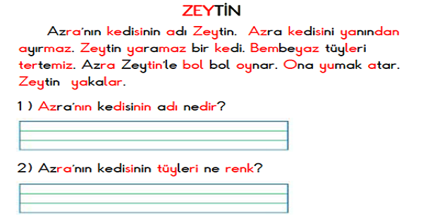 1. Sınıf İlk Okuma Yazma (Z-Z Sesi) Boyama ve Okuma Metni