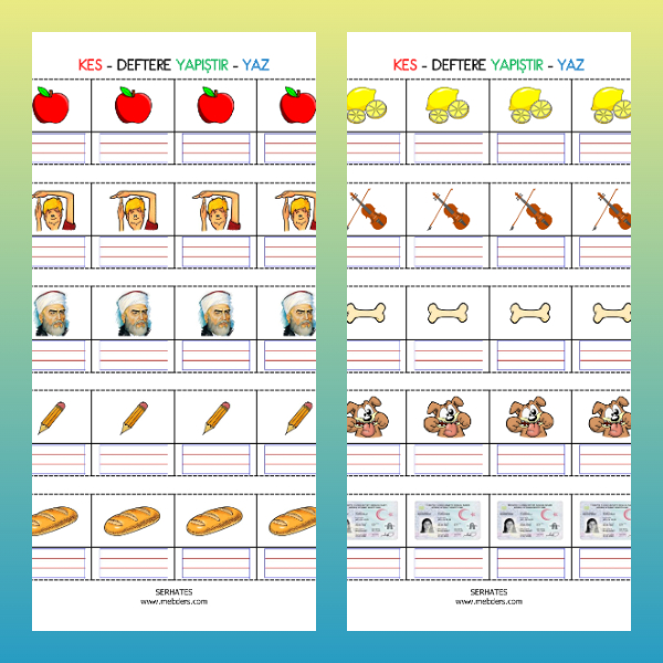 1. Sınıf İlkokuma Yazma - M Sesi Defter Etkinliği