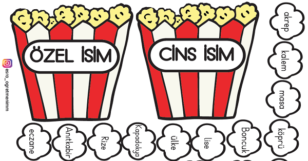 2. Sınıf Türkçe Özel İsim-Cins İsim Defter Çalışması