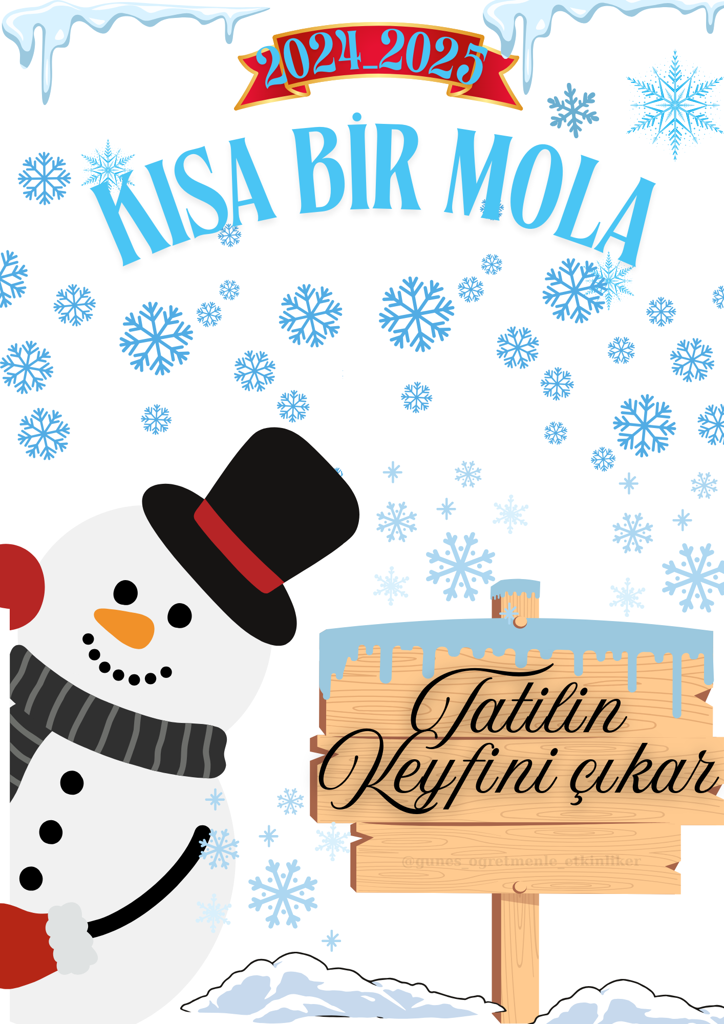 Karne Kılıfı