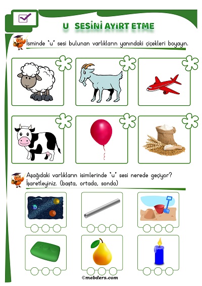 1. Sınıf İlkokuma U Sesi Ayırt Etme Etkinliği