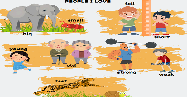 3. Sınıf Unit 3 People I Love Resimli Kelime Kağıdı I