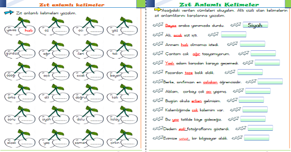 1. Sınıf Türkçe Zıt Anlamlı Kelimeler-6