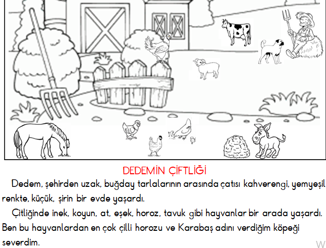 1. Sınıf Okuma ve Anlama (Dedemin Çiftliği) 7