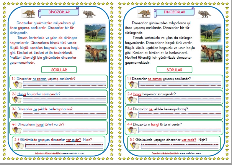 1. Sınıf Türkçe Dinozorlar Okuma Anlama Metin Çalışması 4