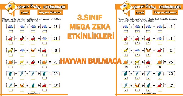 3. Sınıf Mega Zeka Etkinliği - Hayvan Bulmaca