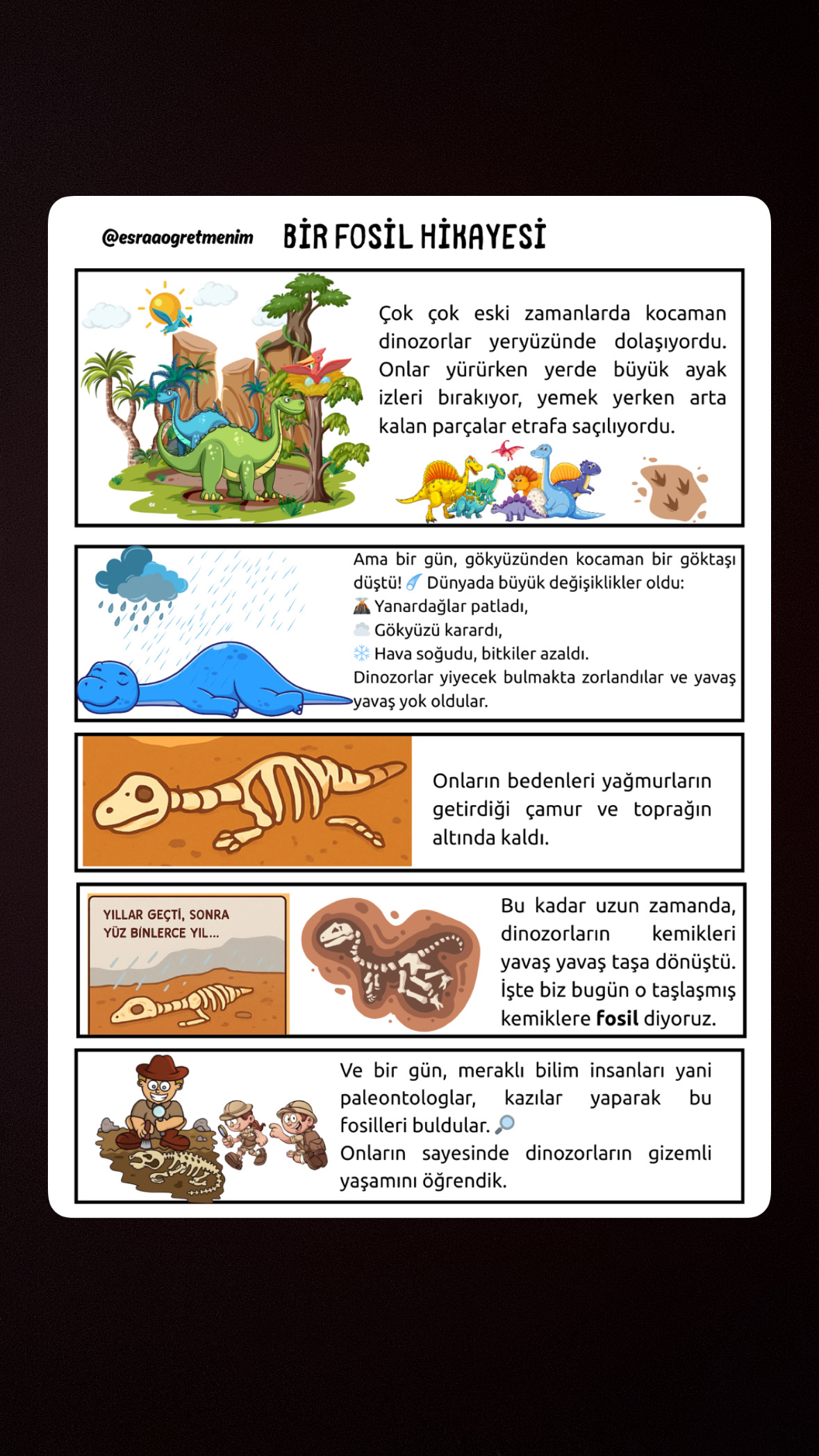 4. Sınıf Fen Bilimleri Fosil Hikaye Çalışması