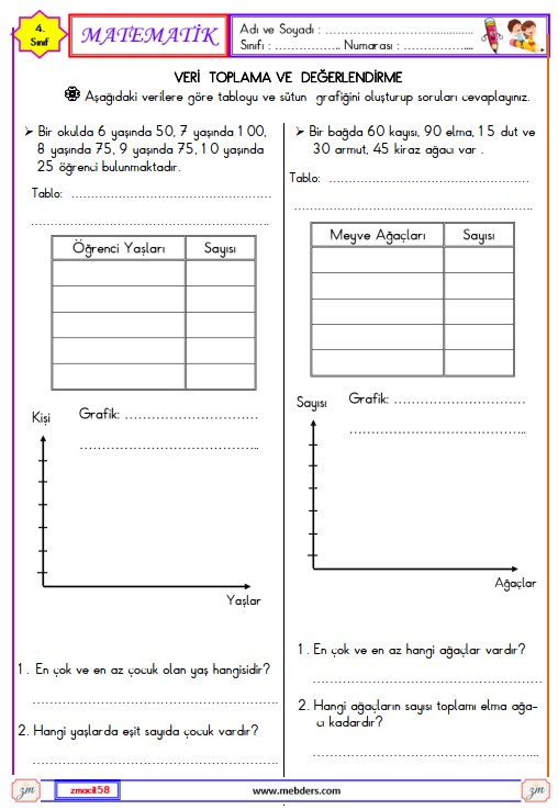 4. Sınıf Matematik Veri Toplama ve Değerlendirme Etkinliği 20