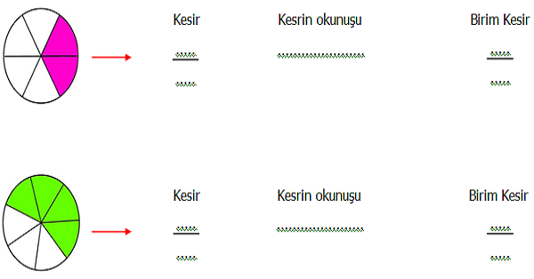 3. Sınıf Matematik Kesirler (Parça Bütün İlişkisi ve Birim Kesirler) Etkinliği 2