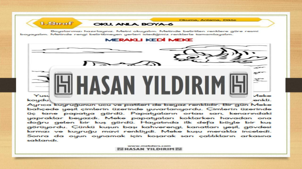 1. Sınıf Türkçe Oku, Anla, Boya-6