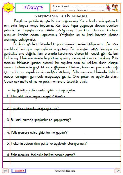 1. Sınıf Türkçe Okuma ve Anlama Etkinliği  (Kar Yağıyor)